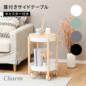 Wt TChe[u  X k  \t@ ~je[u ۃe[u RpNg X`[ ؐ LX^[ ړ [ [^Cv Vv l炵 56cm rO[ Q