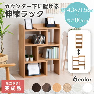 [i] I[vVFt Lk bN JE^[[ 40cm ^ s25cm [^Cv  Lb`[ rO[ HI RpNg ȃXy[X Lb`JE^[ k X