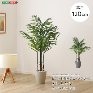  uǉv AJV tFCNO[ STCY 120cm ^  lH ϗtA A  rO ItBX t X CeA Aؔ   U tFCN