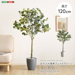 y5聚Si5%OFFN[|z [J tFCNO[ STCY 120cm ^  lH ϗtA A  rO ItBX t X CeA Aؔ   U