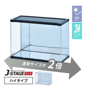 y5聚5%OFFN[|z tBMAP[X uvJbg  wʃ~[  ςݏd RNVP[X AN ^ tBMA P[X [ yJ-STAGE Ch nC^Cvz