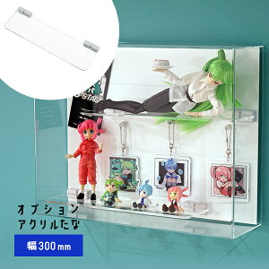 MAGRYLIvV }Olbg ANI 300mm ([^p)F AN fBXvCI L[u{bNX FP[X }OP[X tBMAI Ǌ| RNVP[X tBMAP[