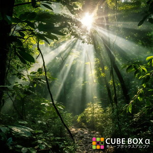 yCBA CBH pwʃfUCV[gz WO MщJ i X  ؘR  b