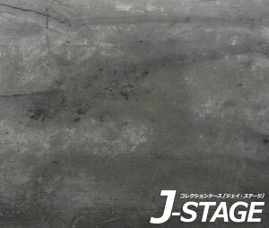 yJ-STAGE X^_[h M[^Cvp ʃfUCV[gz RN[gn H ܑH Zg