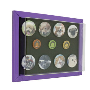 ʃob` [ Ǌ| RNV fBXvC P[X ʃobW fBXvCP[X uvJbg ߋ 킢  ʃobWP[X  