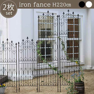 CObVK[ftFX 220 nC^Cv 2g ACAtFX AeB[N [YtFX gX eBX  NVJ ubN zCg   ߍݎ K[f