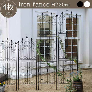 CObVK[ftFX 220 nC^Cv 4g ACAtFX AeB[N [YtFX gX eBX  NVJ ubN zCg   ߍݎ K[f