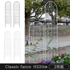 nʂɎh NVbNtFX 220 nC^Cv 2g ACA gX AeB[N  eBX K[ftFX K[fjOtFX GNXeA ubN zCg yO