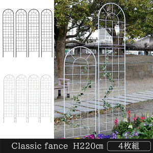 nʂɎh NVbNtFX 220 nC^Cv 4g ACA gX AeB[N  eBX K[ftFX K[fjOtFX GNXeA ubN zCg yO