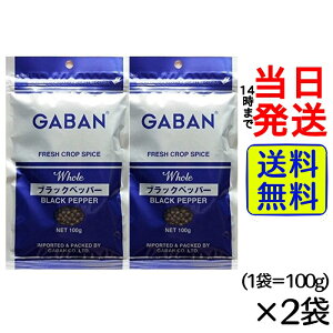 GABAN ubNybp[z[ 100g × 2 Ӟy  zy |Xg zy  z Mo nEX XpCX  Ӟ RVE lߑւ lւ l  X Ɩp 