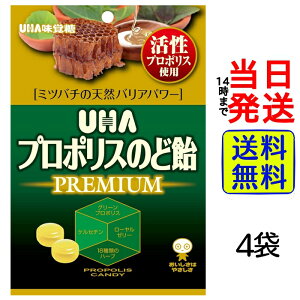 y ňl풆 z UHA v|X̂ǈ PREMIUM 52g×4܁y  zy |Xg zy  zUHAo ̂ǈ [[[ Tvg ݂͂ I  Ri