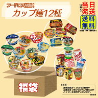 【 フードロス削減 福袋 】 訳アリ カップ麺 12種12個 詰め合わせセット※画像以外の商品が入る場合もご…