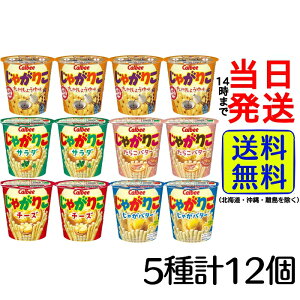 Jr[ Ⴊ肱 5 12 lߍ킹Zbgy  zy  zCalbee Ⴊ肱 T_ `[Y Ⴊo^[ B傤 炱o^[ A\[g