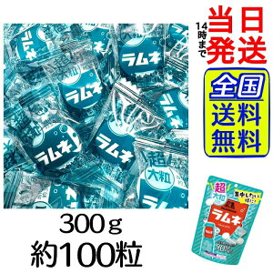 y ňl풆 z Xi 嗱l 300g 100Zbgy  zy |Xg zy  zMORINAGA Xi 嗱l l 100 e ʉَq