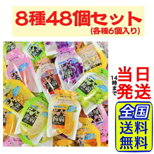 【 最安値挑戦中】 オリヒロ ぷるんと蒟蒻ゼリー 8種 計48個 (計960g) 大容量 詰め合わせセット【 送料無料 】【 ポスト投函 】【 当日発送 】ORIHIRO 蒟蒻ゼリー ゼリー コンニャクゼリー こんに