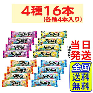 RX ̂܂ t[ZK 4 e4{ v16{ lߍ킹Zbgy 1000~|bL zy  zy |Xg zy  ẑ܂܃t[ZK `[CK `[CO