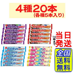 `[CK Ku`E 4 e5{ v20{ lߍ킹Zbgy 1000~|bL zy  zy  z \tgLfB K O[v R[ l zCg\[