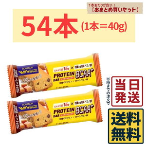 �y54�{�z �u���{�� �v���e�C���o�[ BCAA+ �L���������N�b�L�[ 40g×54�{�y �������� �z�y �������� �z�v���e�C���o�[ �`���R���[�g�N�b�L�[ �`���R���[�g �`���R BCAA+ �y�H �ԐH ���N ����� ����