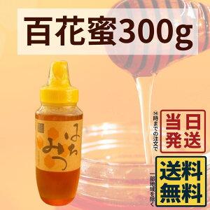 Y RY ݂͂ ΍_ SԖ 300g I y  zy  zY R VR I ˓ ݂͂  Mtg Hi Y