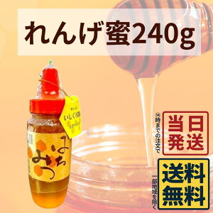 Y RY ݂͂ ΍_ 񂰖 240g I y  zy  zY R VR I ˓ ݂͂  Mtg Hi Y