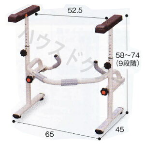 mgCpXCh肷 PN-L53001 pi\jbN [  gC 萠 a-w]skCAAւ̔zs