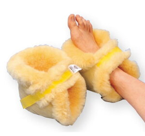 i[VObO Ƃ(21g) NR-07 EFt@ [  h~  a-w]skCAAւ̔zs