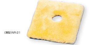 i[VObO p ^ NR-21@EFt@ [  h~ Ԉ֎q  a-w]skCAAւ̔zs