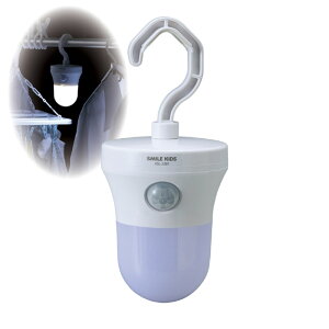 nK[ZT[Cg ASL-3307[h ZT[Cg N[[bg  []skCAAւ̔zs