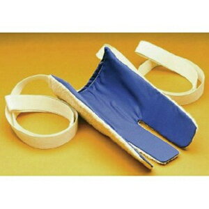 CGCh vgE [ pi   g l ]skCAAւ̔zs