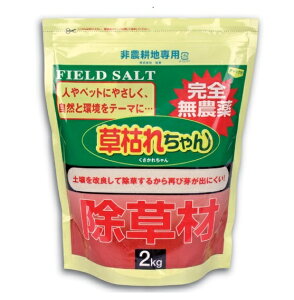  ͂ꂿ 1kg[K[fjO  G   b-g] skCAAւ̔zs