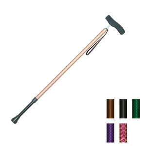 JCmX \tgObv SOFT-GA@Vim [SHINANO  XebL ]|h~ s ⏕ a-w] sAւ̔zs