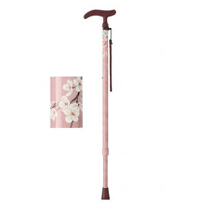 y6FzANeBu O[X LkS@tWz[ [  XebL s ⏕ a-w] Aւ̔zss