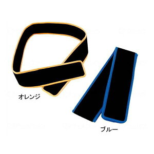 pCxg AKE-0006A / AKE-0007A iÊ [Ԉ֎q ԃCX ێ ی xg a-w]sAւ̔zs