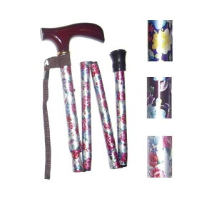 A~ 4i ԕiObvj@NX [  XebL s ⏕ a-w] Aւ̔zss