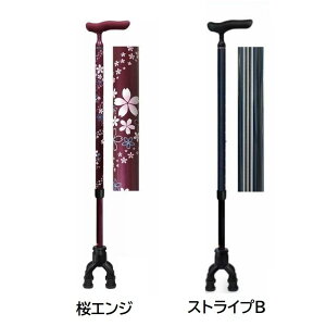 l_ IEIt@쏊 [  XebL s ⏕ a-w] Aւ̔zss