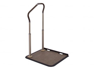 sT|[g肷 X[fBXebvT|[g@pi\jbN [ i 萠 a-w]sAւ̔zs