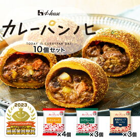【お買いものパンダ皿対象商品】【公式】ハウス食品　カレーパンノヒ 10個セット（バーモントカレーパン4個、ジャワカレーパン3個、角切りビーフカレーパン3個）詰め合わせ セット 総菜パン