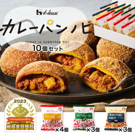 【公式】ハウス食品　カレーパンノヒ 10個セット（バーモントカレーパン4個、ジャワカレーパン3個、角切り牛肉の欧風カレーパン3個）