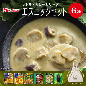 【公式】ハウス食品 エスニックセット レトルトカレー6種詰め合わせ オリジナルエコバッグ付き【WEB限定セット／送料無料】色んな味をおためし！ プチギフト 食べ比べ 軽食 タイ風グリーンカレー レンジで簡単 バラエティーセット