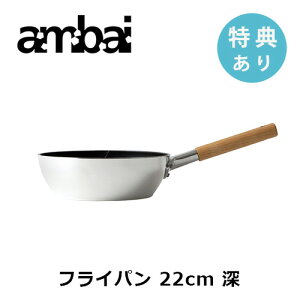 yTzambai tCp 22[y HAK-005 22cm   Lb`pi   IV Mtg v[g ̓z