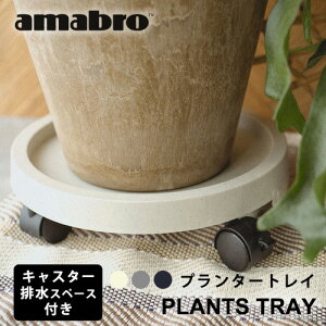 amabro PLANTS TRAY LX^[tv^[gCyϗtA A K[fjO A[gXg[z