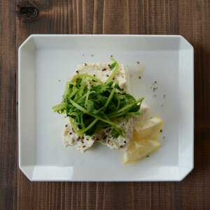 yő1000~OFFz1616/arita japan TY XNGAv[g165izCgjyC`NC`N A^Wp Lc ƍO  IV M H _ fUCi[ pMz