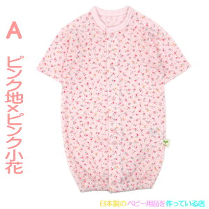 { ȍd c[EFCI[ 40cm - 50cm ȐԂ  @tėp@(ԕ)@TCY40|50cm@yyΉizV@I[V[Y@100@2WAY@Rrh