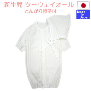 {傢 ҂ c[EFCI[ {Ƃ񂪂Xqt@100% 50-60cm  hXI[@Jo[I[ xr[@Zj[@މ@@{Q@V { jp@V