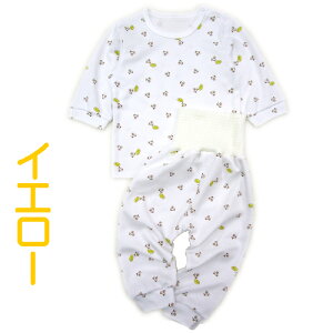 { pW}  t 炩 X[X pW}i Hi N}  E X[X j  100 80cm 90cm I[V[Y f  Zp[g pW}  t  H ~ Ԃ xr