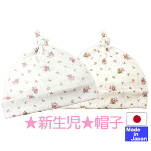 {@xr[pXq@tCXiỏԕj@V 36-39cm@100@@I[V[Y@t@ā@H@~@N@tā@ o@ԕ@Ԃ