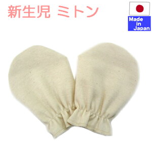 { V I[KjbN ~g() @1g@100 @I[KjbNRbg@Vt[TCY@Ԃ@xr[@~g@܁@Rbg 100%