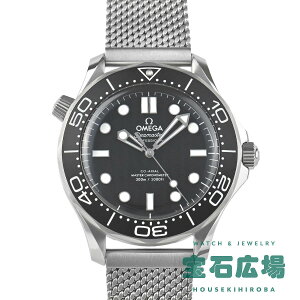 �I���K OMEGA �V�[�}�X�^�[ �_�C�o�[300M 210.30.42.20.01.010�y�V�i�z�����Y �r���v ��������