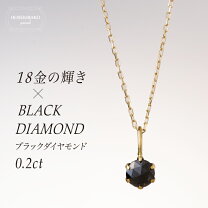 楽天市場】k18 ブラックダイヤネックレスの通販