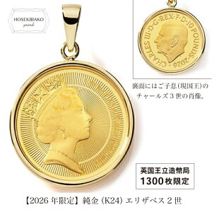 18金コイン ペンダントトップ」の人気商品一覧・価格比較 - 価格.com
